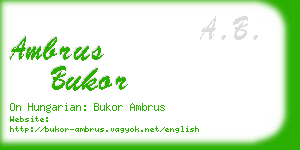 ambrus bukor business card